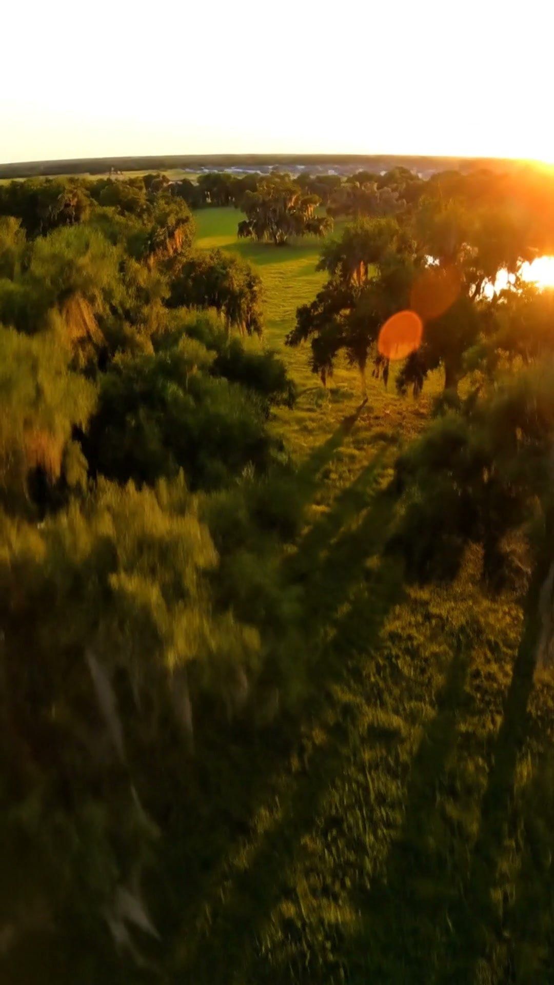 Video preview: Growth Starts with Land