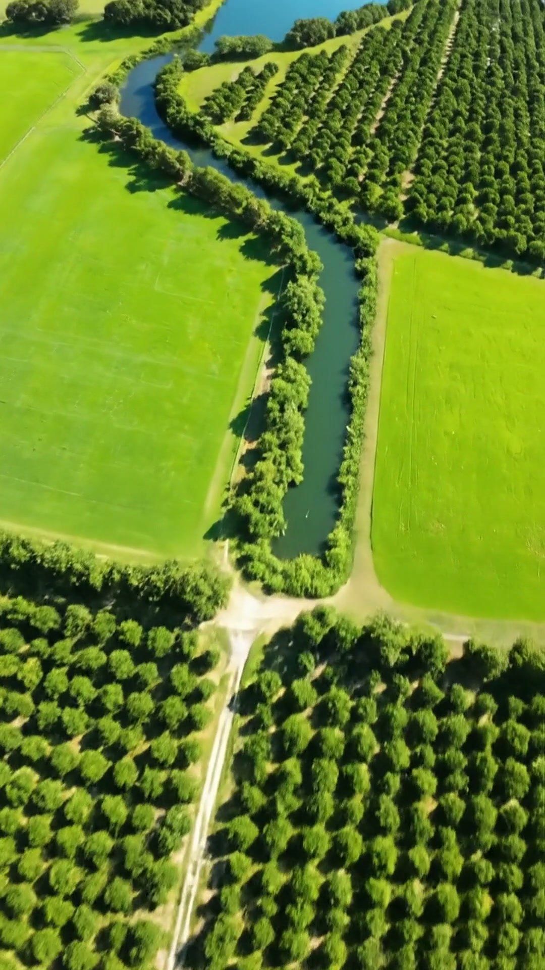 Video preview: What Is Your Land Really Worth?